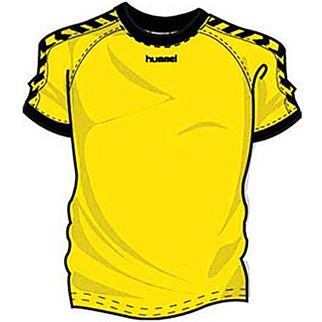 hummel Trikot AUTHENTIC - sports yellow/black|XXL|Langarm
