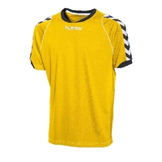 hummel Trikot BEE AUTHENTIC - sports yellow|L|Langarm