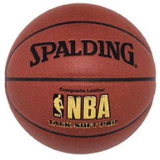 spalding Basketball NBA TACKSOFT PRO mit DBB-Logo (Indoor/Outdoor) - 7