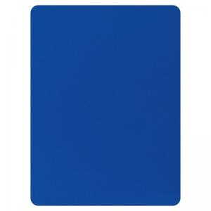 erima Schiedsrichterkarte BLAU 