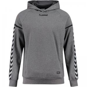 hummel Hoodie AUTHENTIC CHARGE 