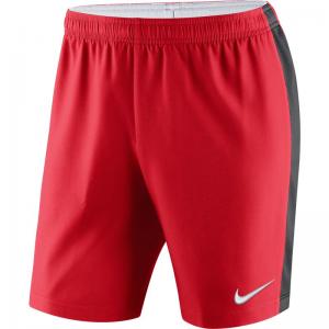 Nike Short Dry Venom II 