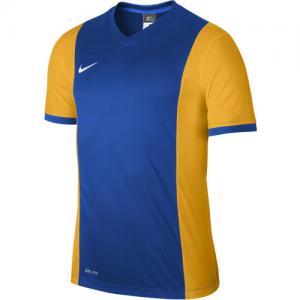 Nike Trikot PARK DERBY 