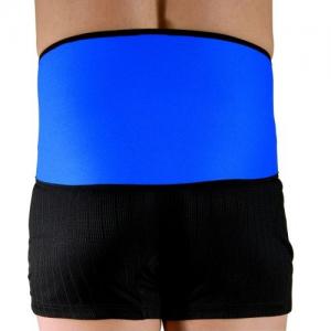 Rehband Rückenschutz 