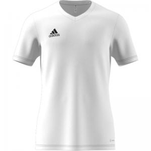 adidas Trikot ENTRADA 22 - kurzarm 