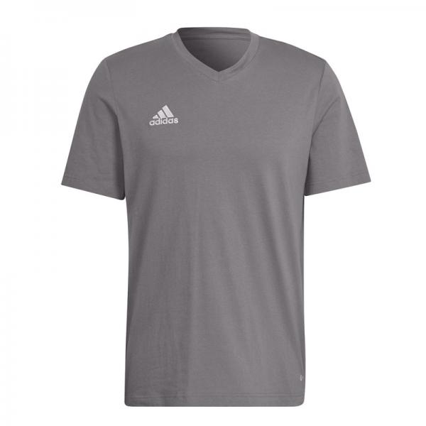adidas T-Shirt ENTRADA 22 team grey four | 116