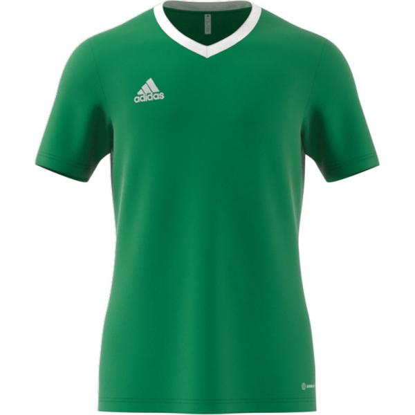 adidas Trikot ENTRADA 22 - kurzarm team green | L | Kurzarm