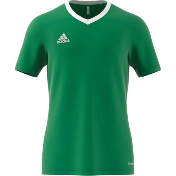 adidas Trikot ENTRADA 22 - kurzarm team green | 116 | Kurzarm