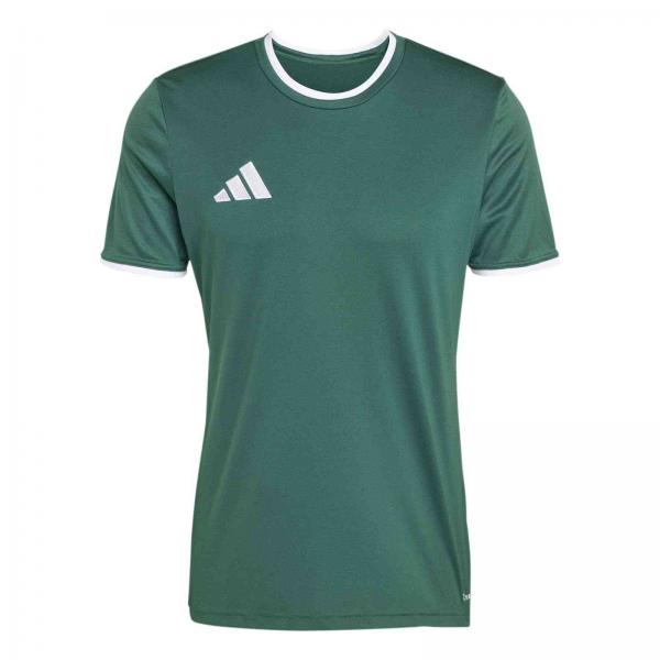 adidas Trikot ENTRADA 26 dark green | 116 | Kurzarm