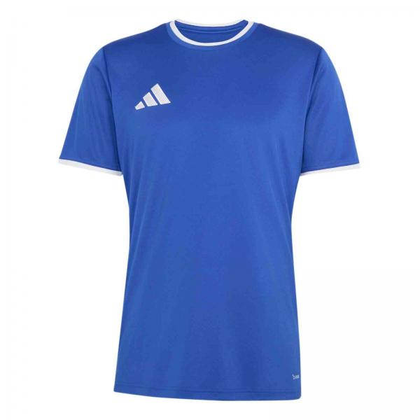 adidas Trikot ENTRADA 26 team royal blue | 116 | Kurzarm