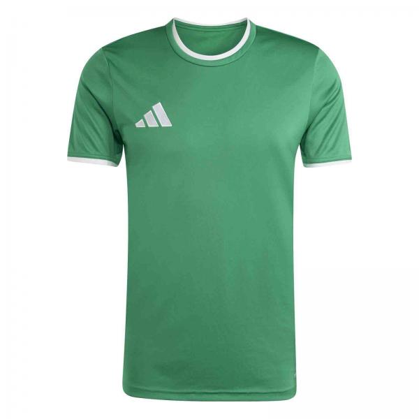 adidas Trikot ENTRADA 26 teamgrün/white | 116 | Kurzarm