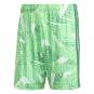 lime burst | 116