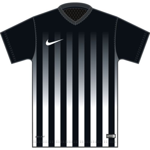 Nike Trikot STRIPED DIVISION II 