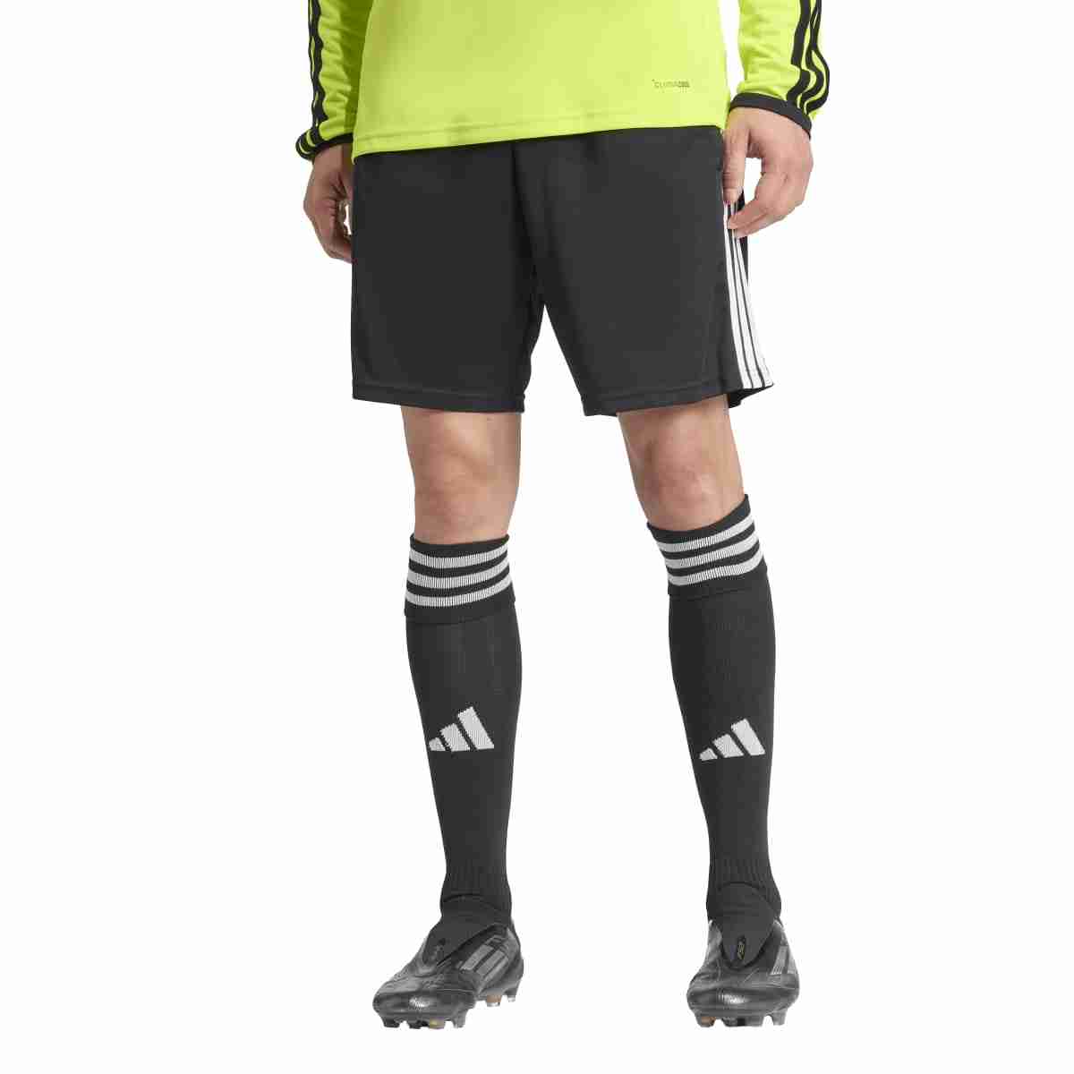 adidas Schiedsrichter-Short REFEREE 26 