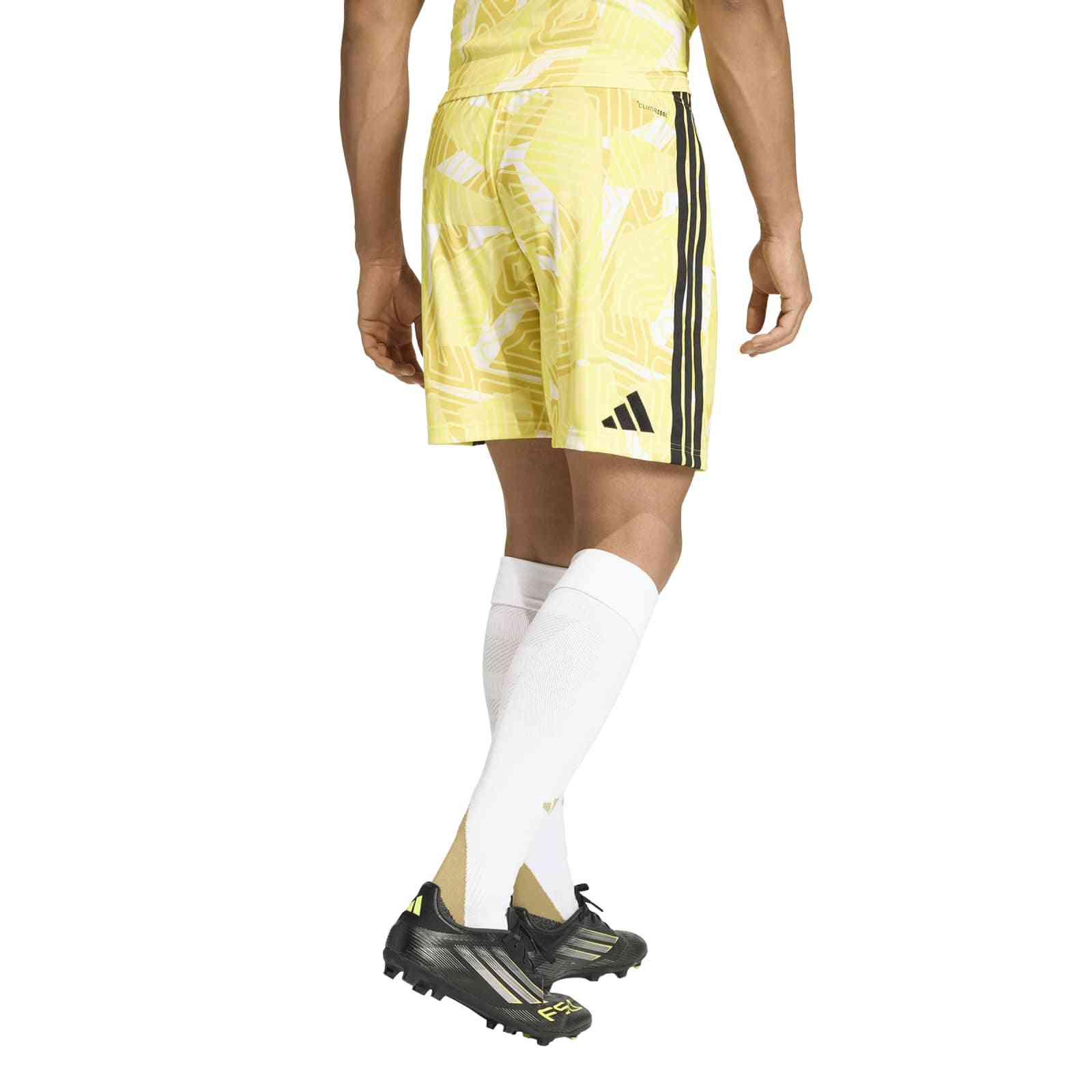 adidas Torwarthose (kurz) TIRO 26 