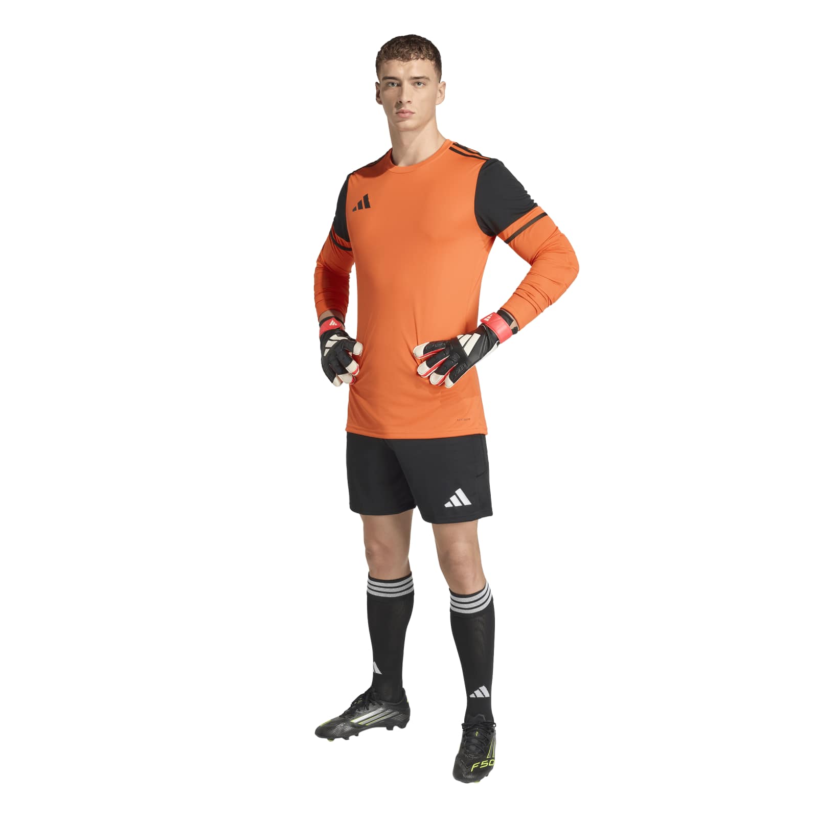 adidas Torwarthose (kurz) TIERRO 26 
