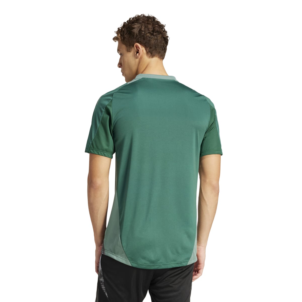 adidas Trikot TIRO 24 COMPETITION - kurzarm 